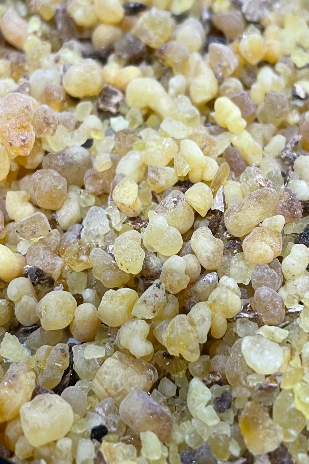 Close-up of frankincense in a bowl