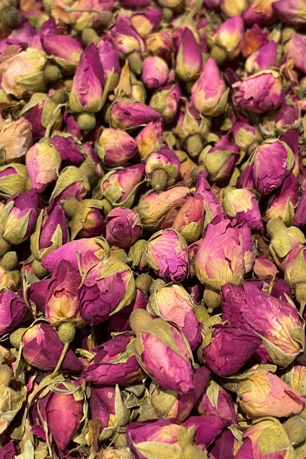 Close-up of dried red rose buds with green leaves