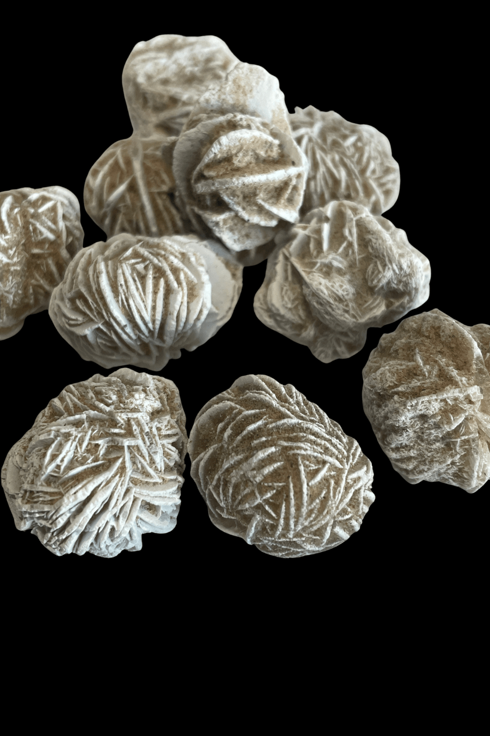 Desert Rose - Dusty Rose Essentials