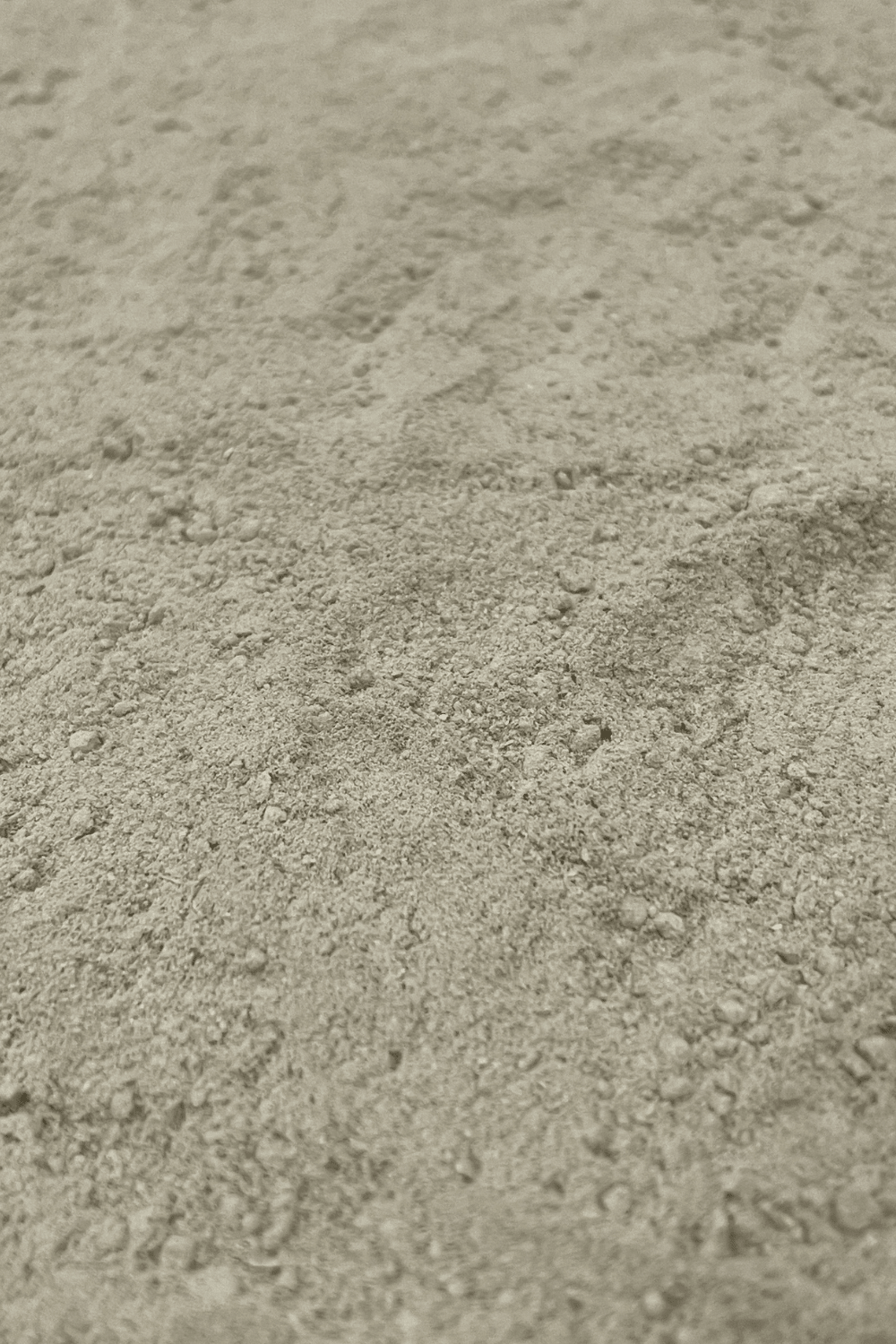 DRE Ritual Essentials Range: Dandelion Root POWDER 10 Grams - plain compostable Label - Dusty Rose Essentials