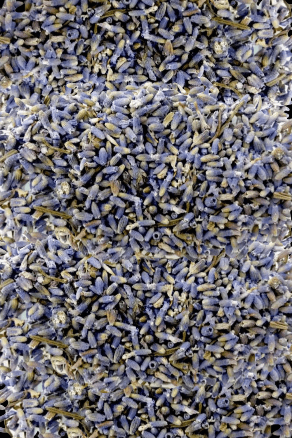 DRE Ritual Essentials Range: Lavender Flowers 10 - grams - Dusty Rose Essentials