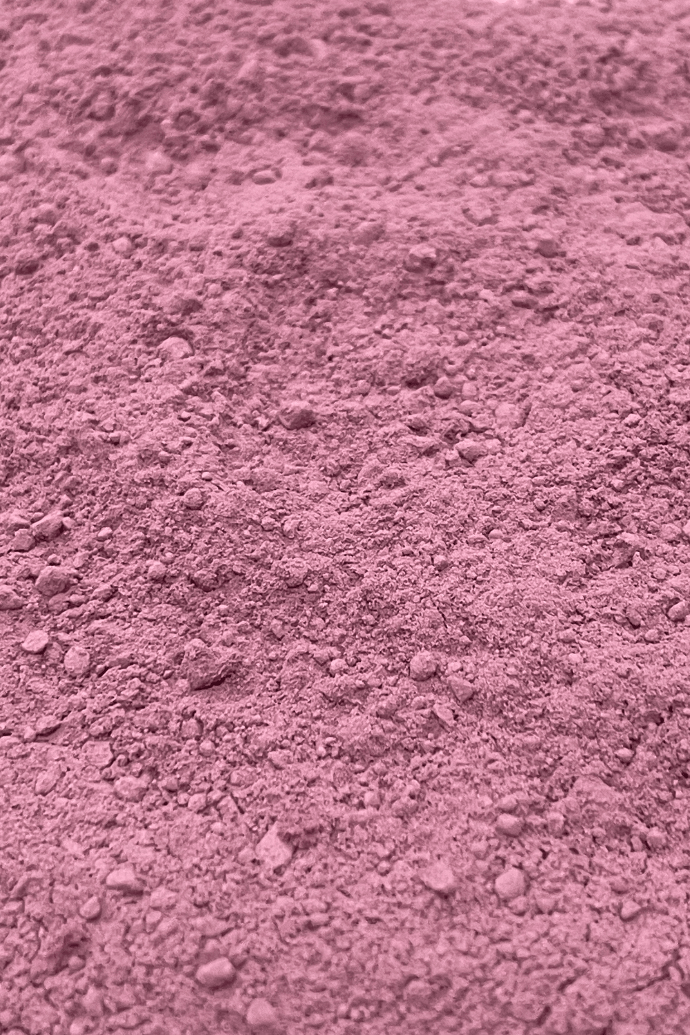 close-up of red rose petal powder