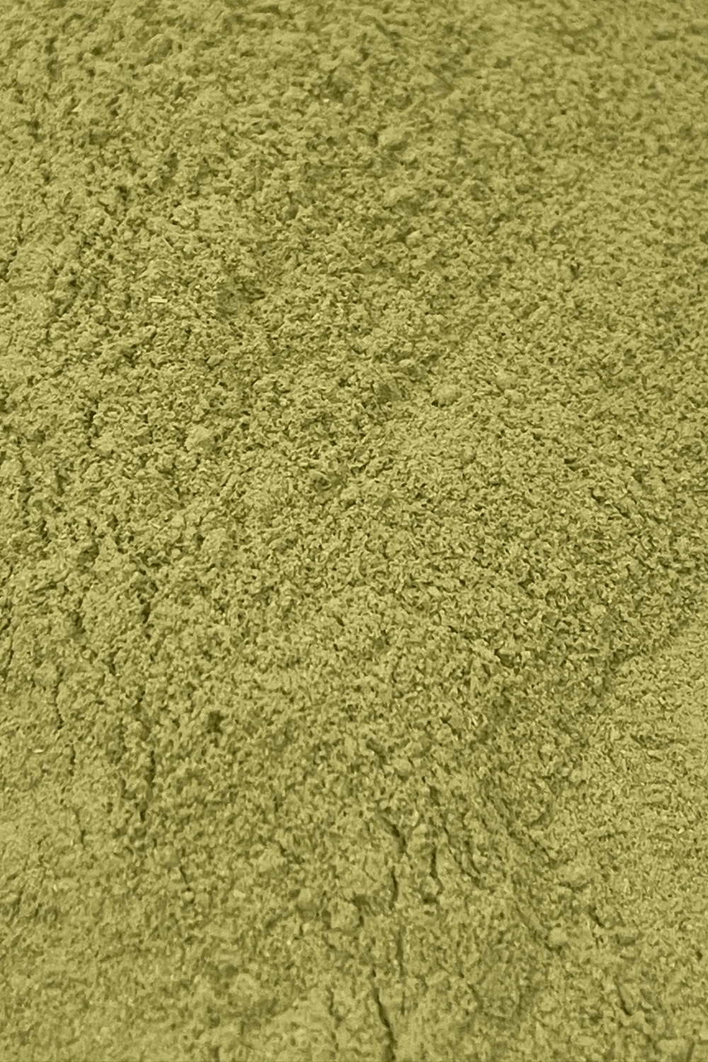DRE Ritual Essentials Range: Rosemary POWDER 10 Grams - plain compostable Label - Dusty Rose Essentials