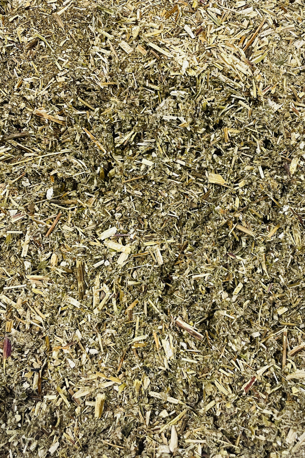 Mugwort 30 or 80 Grams