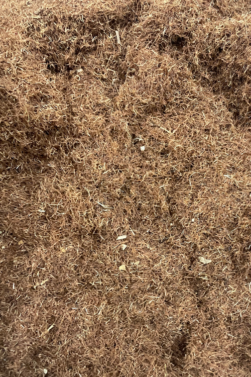 Cornsilk - Cut - 10 OR 25 Grams