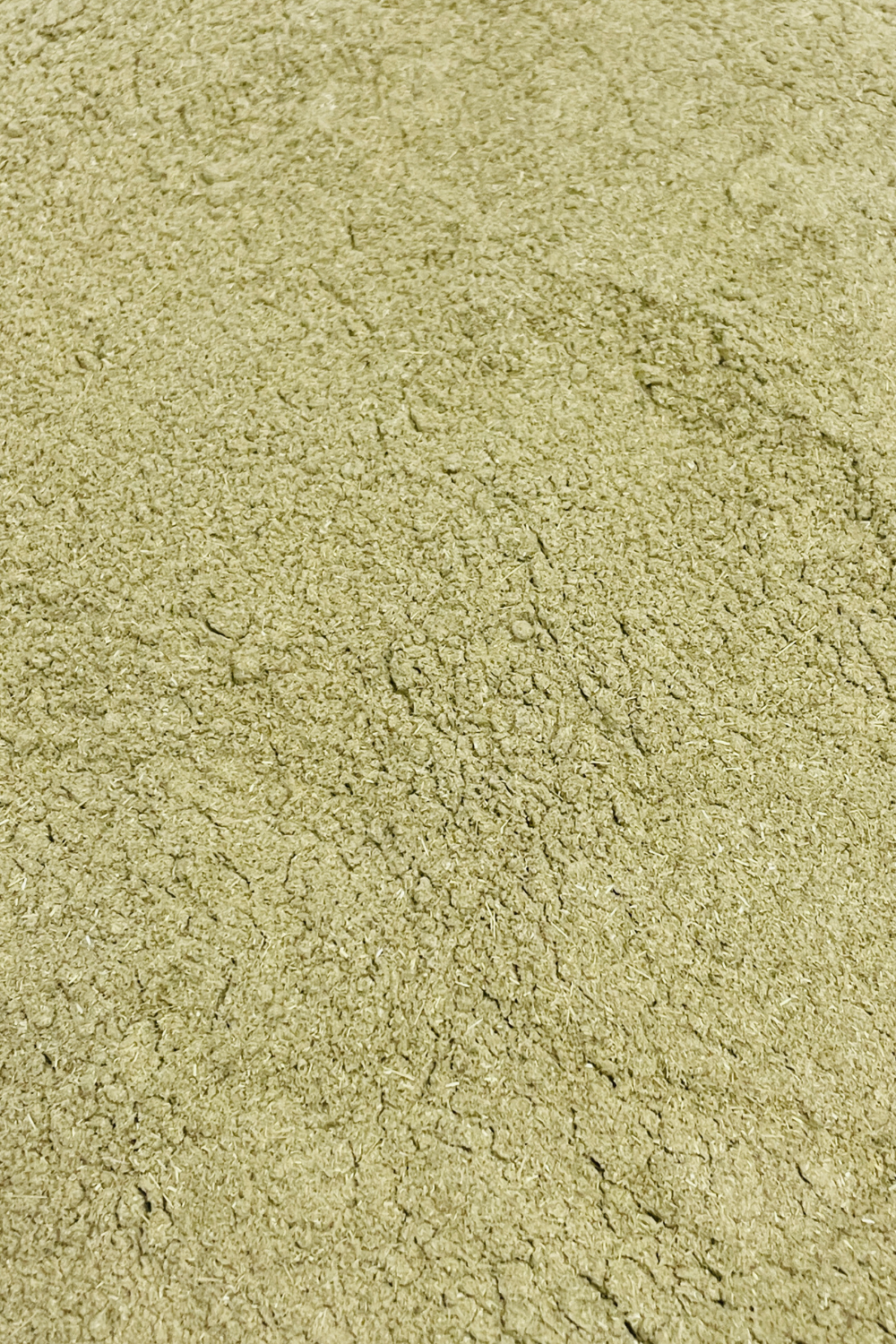 Wormwood Powder 20-Grams