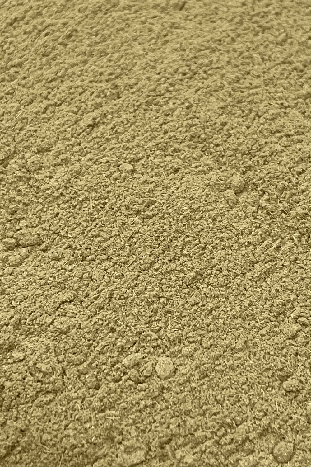 close-up of lavender powder
