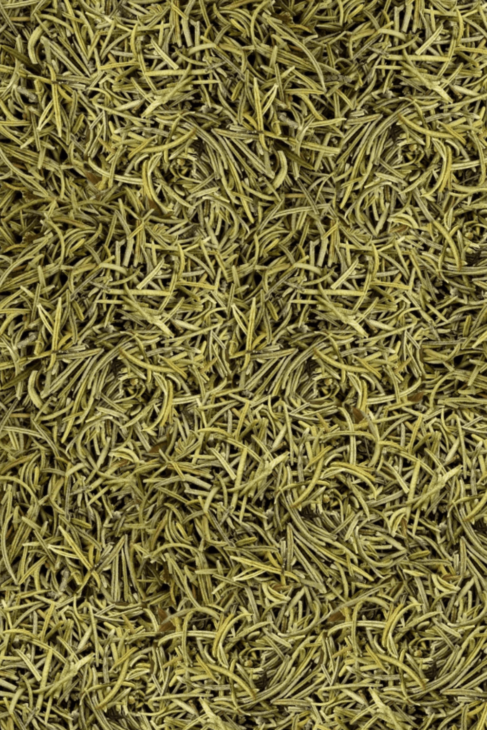 Bulk loose leaf dried rosemary 