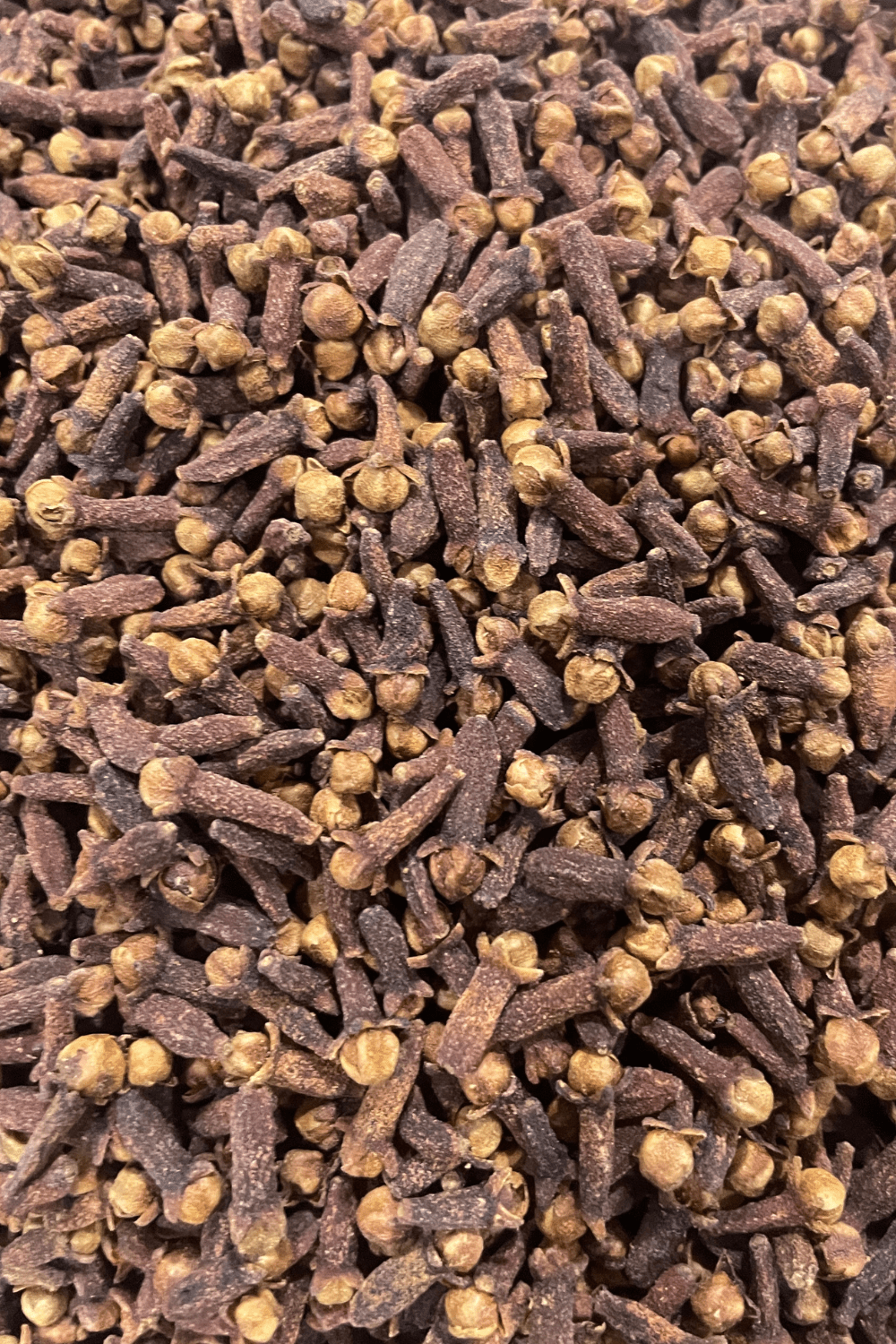Whole Clove Buds 45 Grams in Apothecary Jar - Dusty Rose Essentials